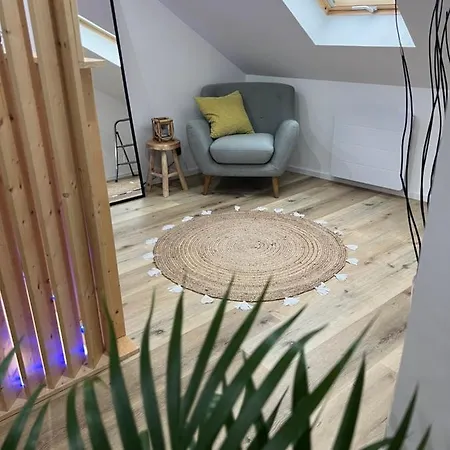 Loft Ravissant Avec Parking Gratuit Apartment Colmar Exterior photo