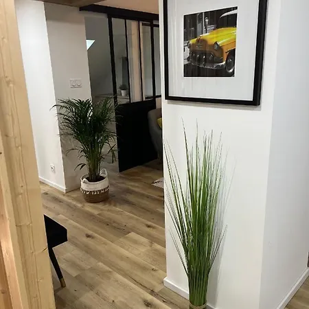 Loft Ravissant Avec Parking Gratuit Apartment Colmar Exterior photo