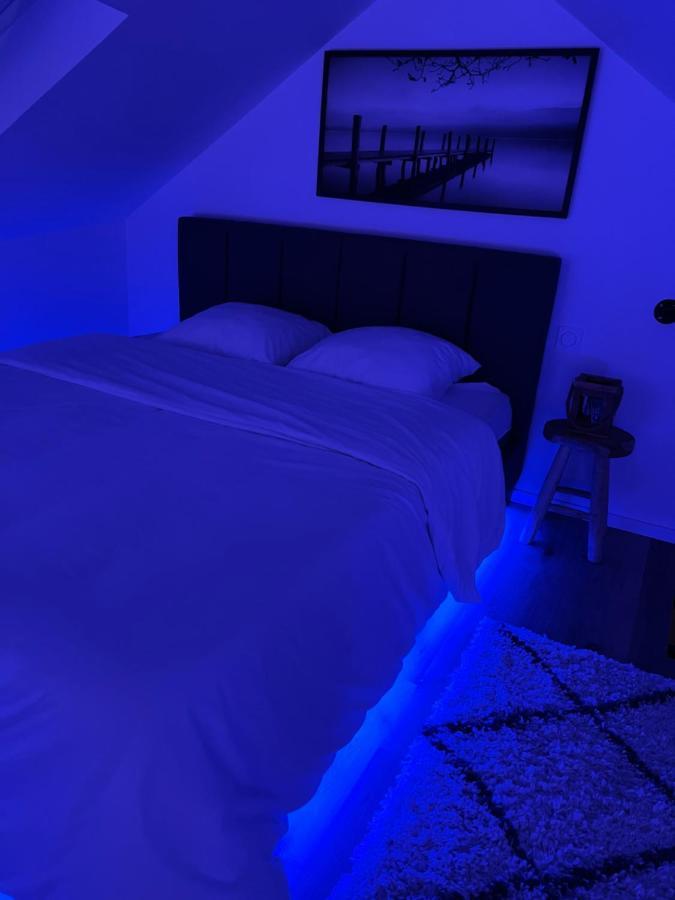 Apartment Loft Ravissant Avec Parking Gratuit Colmar