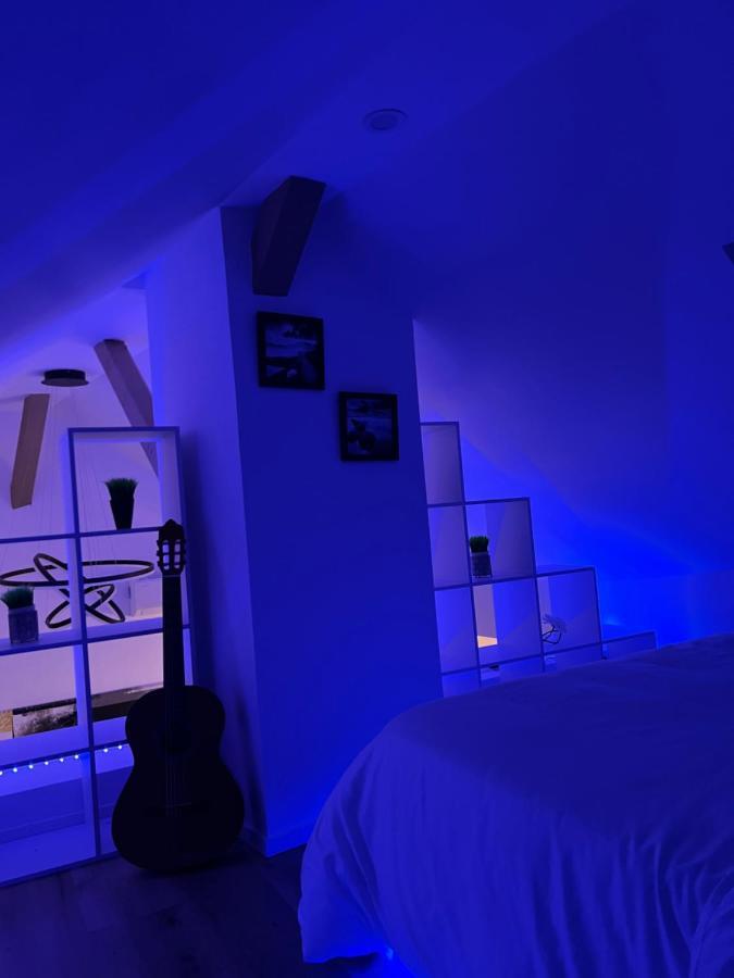 Apartment Loft Ravissant Avec Parking Gratuit Colmar