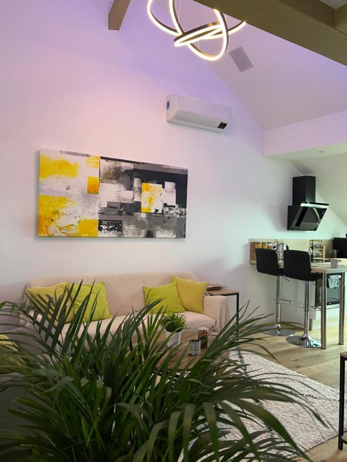 Apartment Loft Ravissant Avec Parking Gratuit *