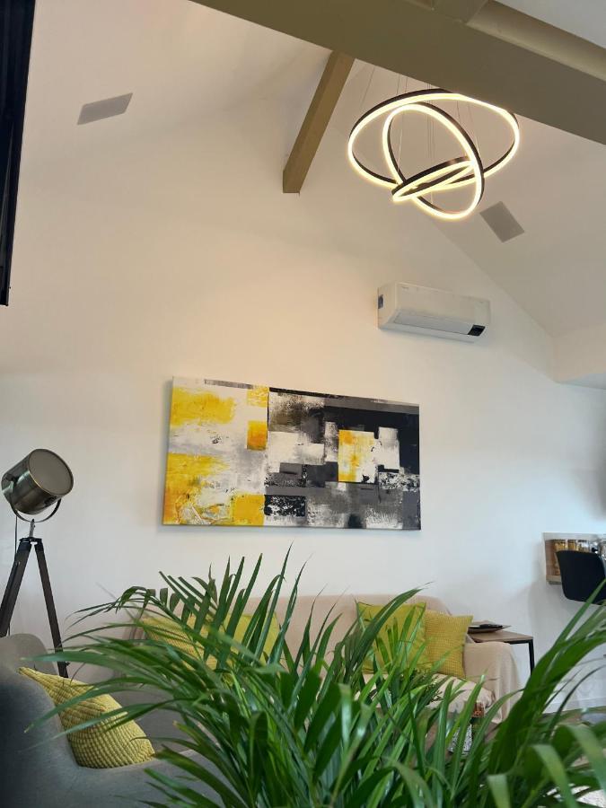 Loft Ravissant Avec Parking Gratuit Apartment Colmar