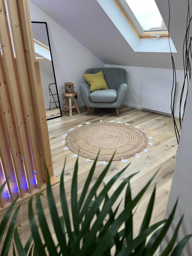 Apartment Loft Ravissant Avec Parking Gratuit Colmar